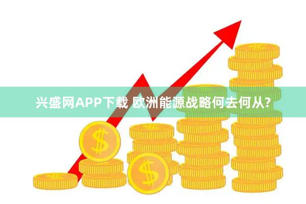 兴盛网APP下载 欧洲能源战略何去何从?