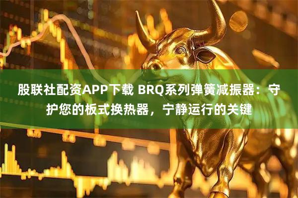 股联社配资APP下载 BRQ系列弹簧减振器：守护您的板式换热器，宁静运行的关键