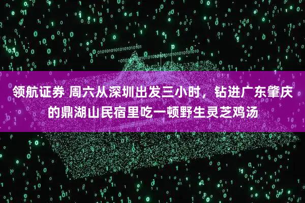 领航证券 周六从深圳出发三小时,钻进广东肇庆的鼎湖山民宿里吃一顿野生灵芝鸡汤